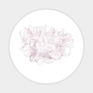 Gentle peony with pink drops Magnet